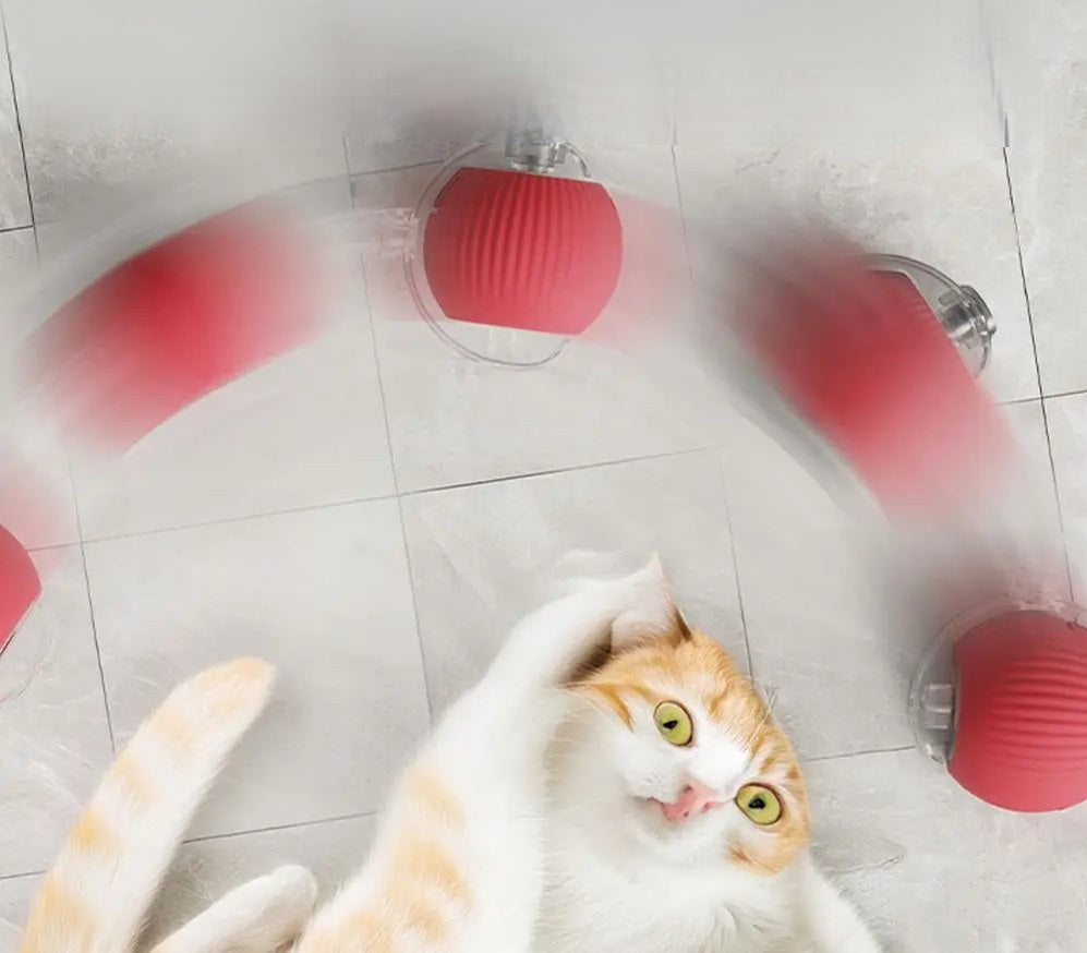 Automatic Rolling Ball Cat Toy with Tails (battery-rules)