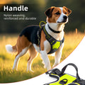 No-Pull Padded Dog Harness with Handle