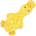 Crinkle Stuffing-Free Squeaky Duck Toy